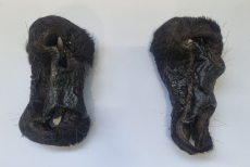 Rindernasen mit Fell