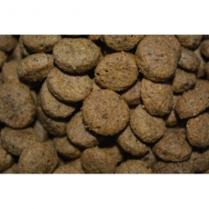 Winner Plus Lamb & Rice 100%