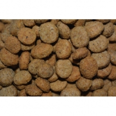 Winner Plus Light Senior