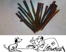 Pferdespaghetti - Pferdedarm